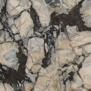 Exotic Snowy Jiangnan Marble