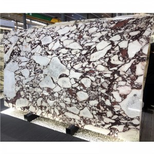  » Luxury Purple Calacatta Viola Marble for Kitchen and Wall