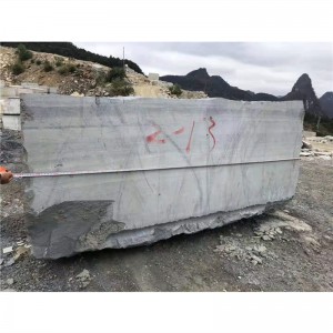  » Modern China Blue Wood Marble For Project