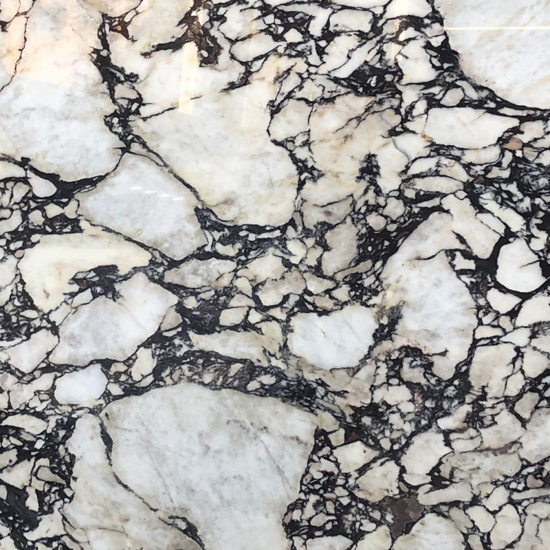 Online Exporter White/Black/Brown/Grey/White Marble Slab for Wall/Floor/Countertops and So on