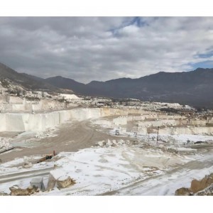  » Pigus An Elegant White Marble From Greece Material