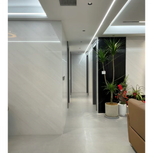  » Radiant Elegance Stone The Charm of Sivec White Marble