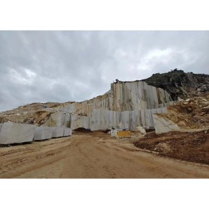  » Hot Sale Brazilian Taj Mahal Champagne Quartzite 